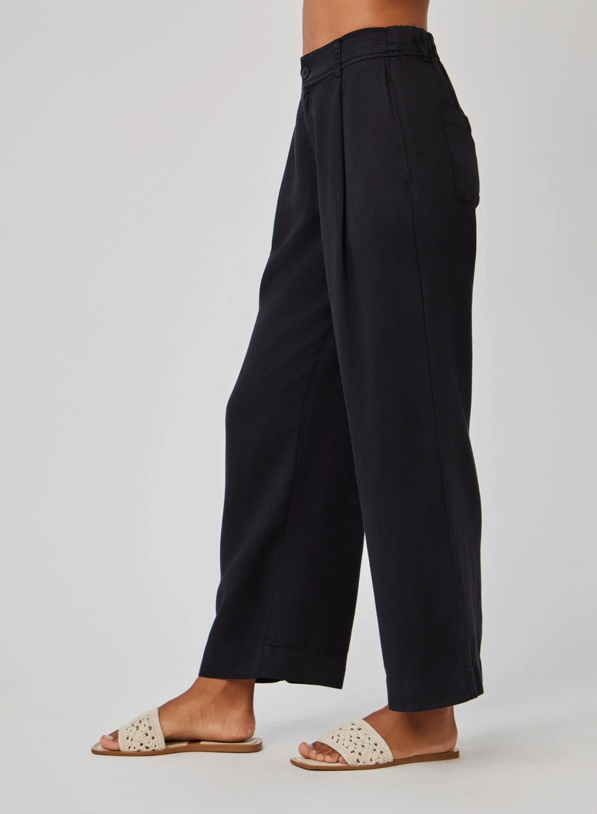 Marina Pleated Wide Leg Ankle Pant - Black