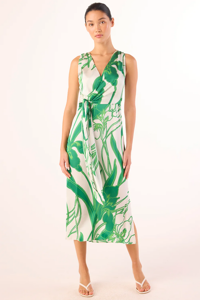 Kina Dress - Winding Iris