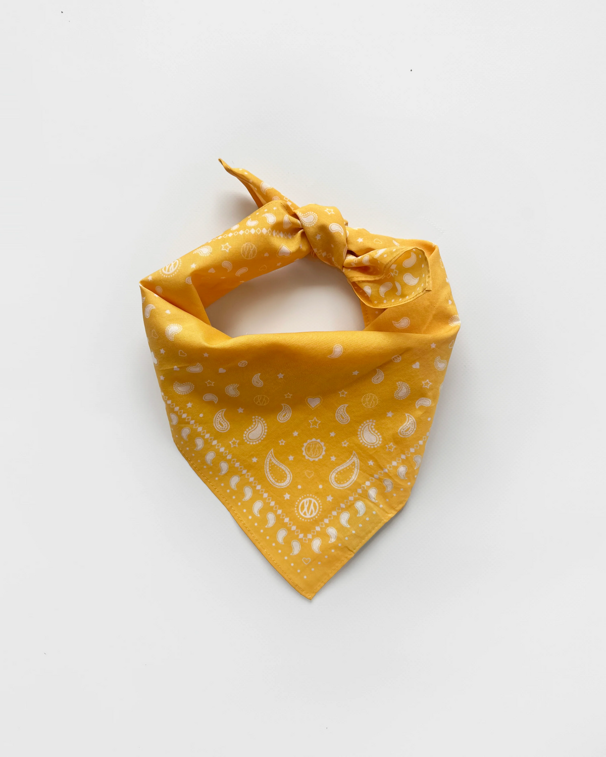 Cotton Paisley - Mimosa Yellow
