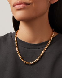 Alber Chain - L - Gold