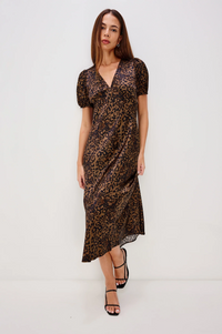 Junia Dress - Ginger Spotted