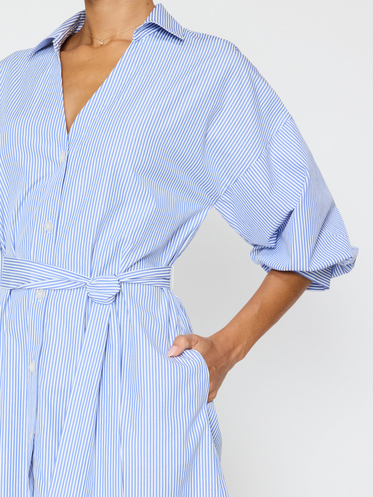 Kate Belted Dress - Blue Stripe